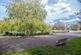 Alexandra Park.jpg