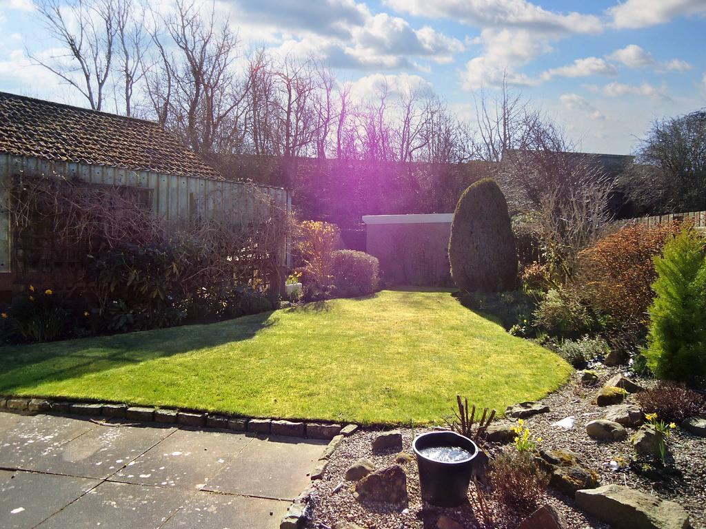 Back Garden