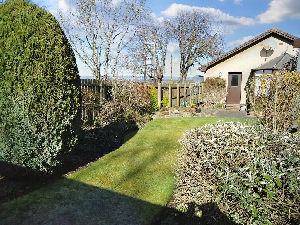Back Garden