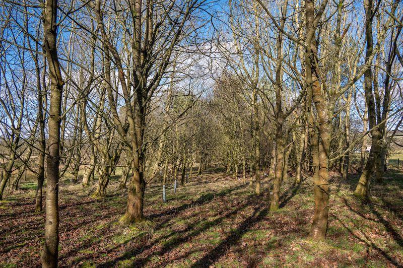 Woods Lot 2