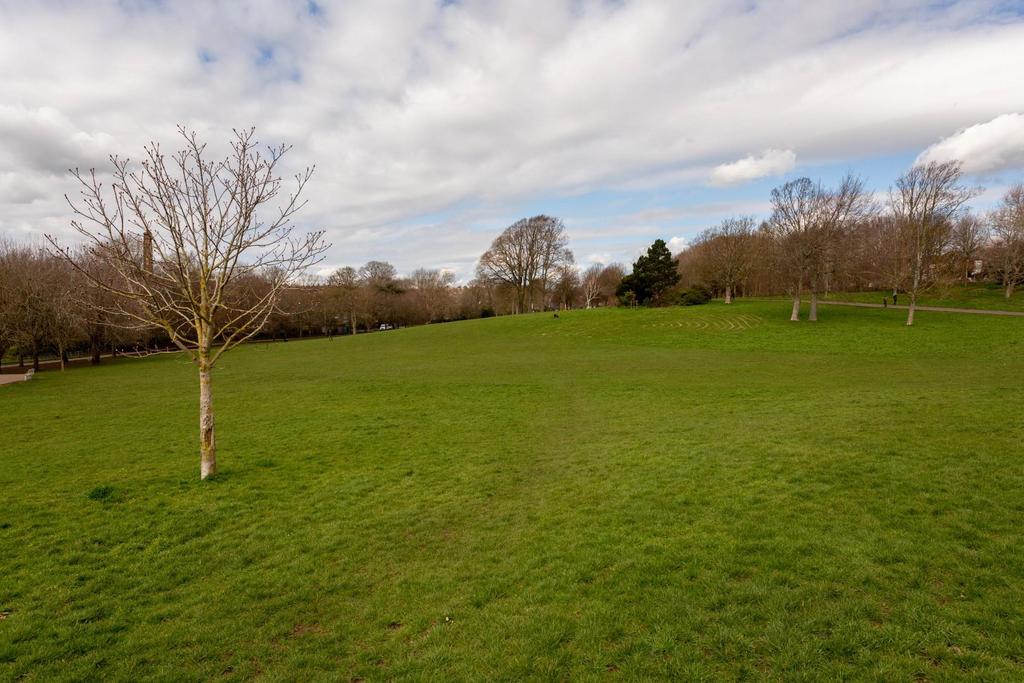 Hove Park-3.jpg
