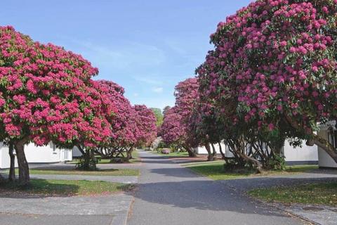 3 bedroom detached bungalow for sale, Rosecraddoc Bungalow Estate, Liskeard