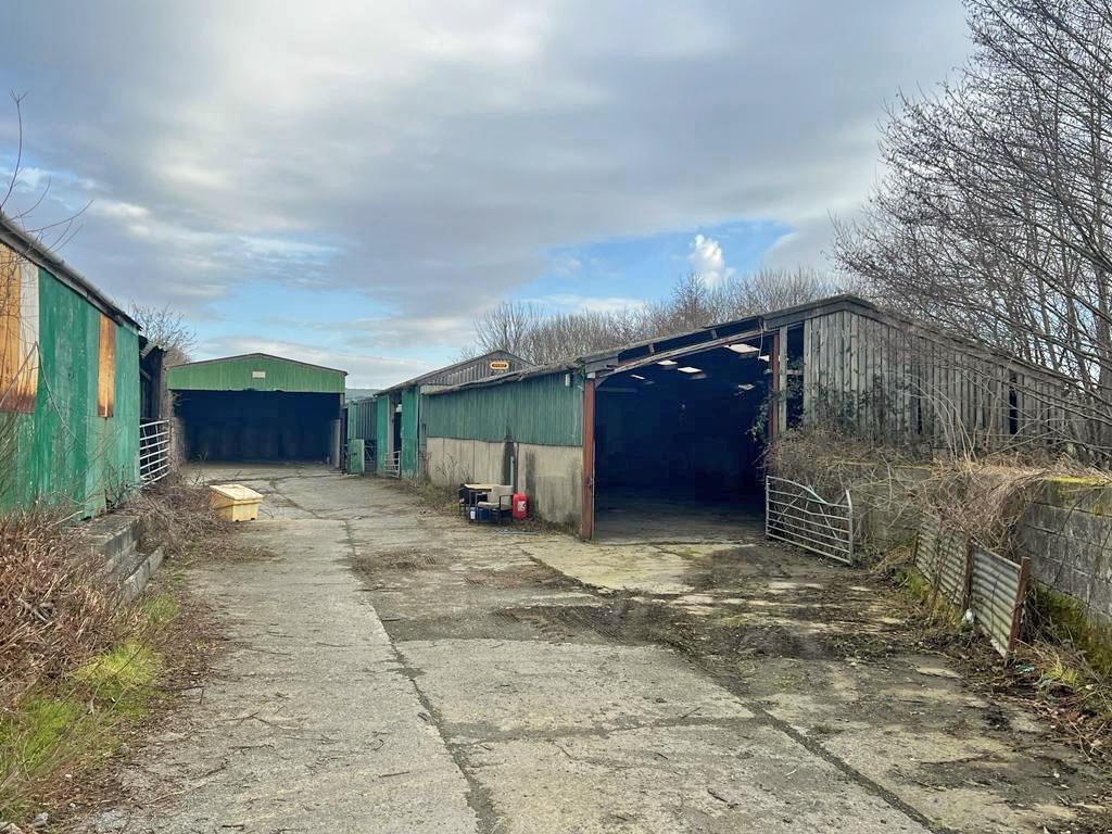 Wernphillip - shed 2.jpg