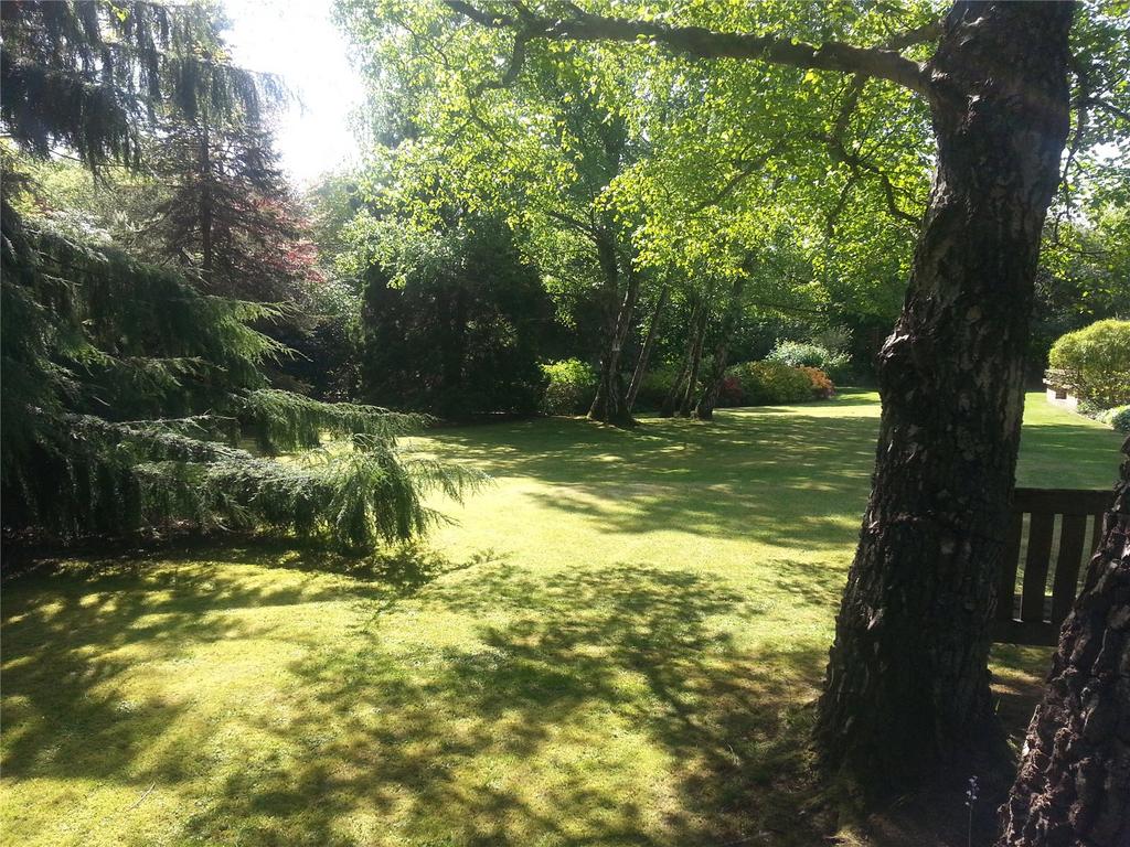 Spring Garden