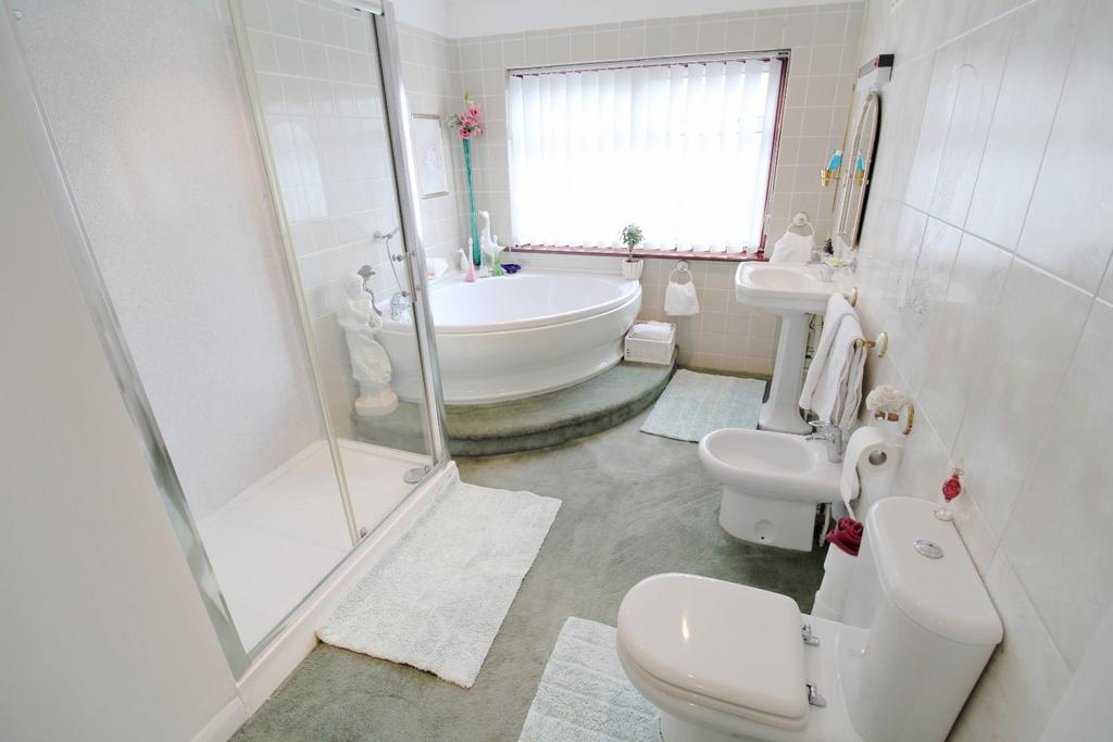 Extended Bathroom View 2