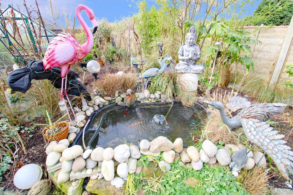 Pond