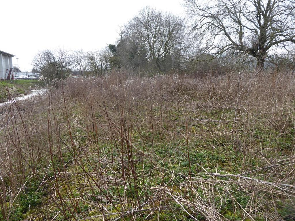 Willow Beck Road, Northallerton Land for sale £30,000