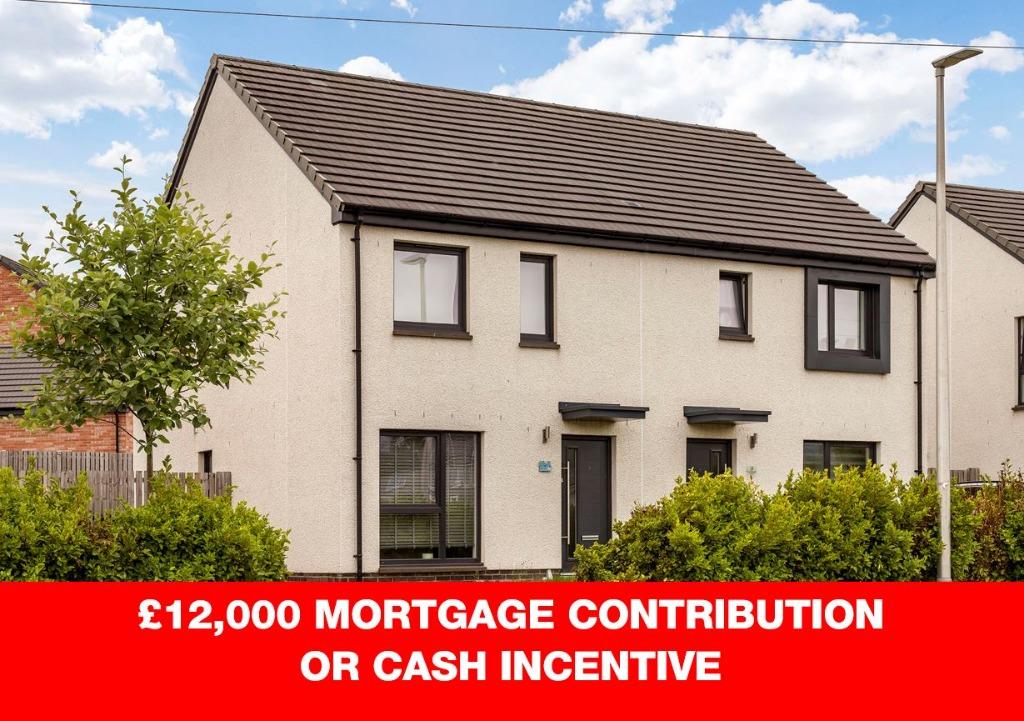 Old College View, Sauchie, Clackmannanshire, FK10 3 bed end of terrace