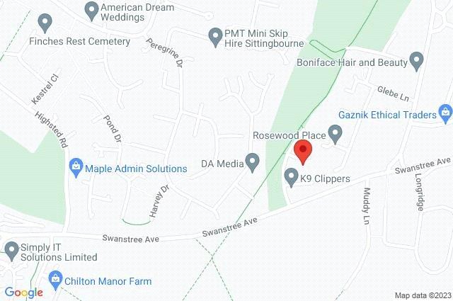 Google Maps Image