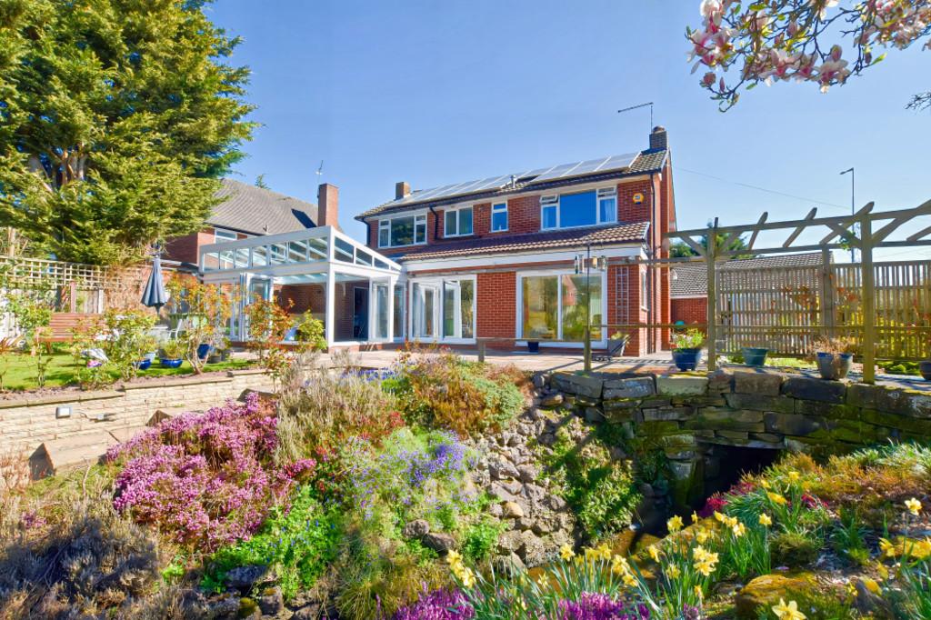 Spring Garden 2