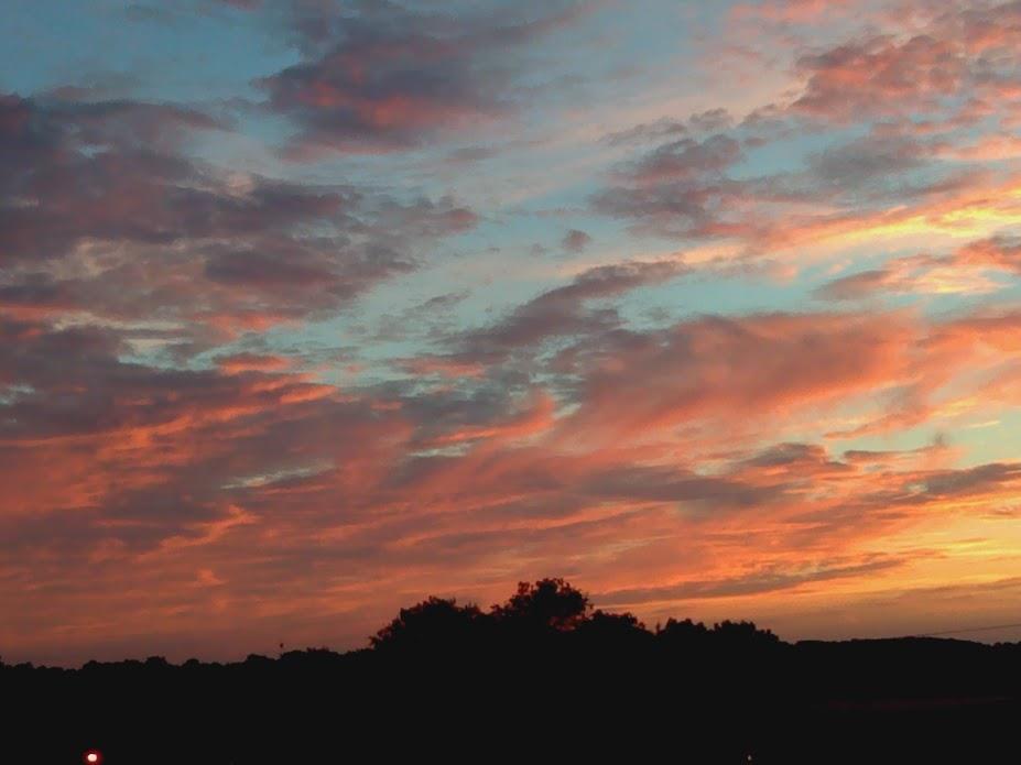 Sunset View.jpg
