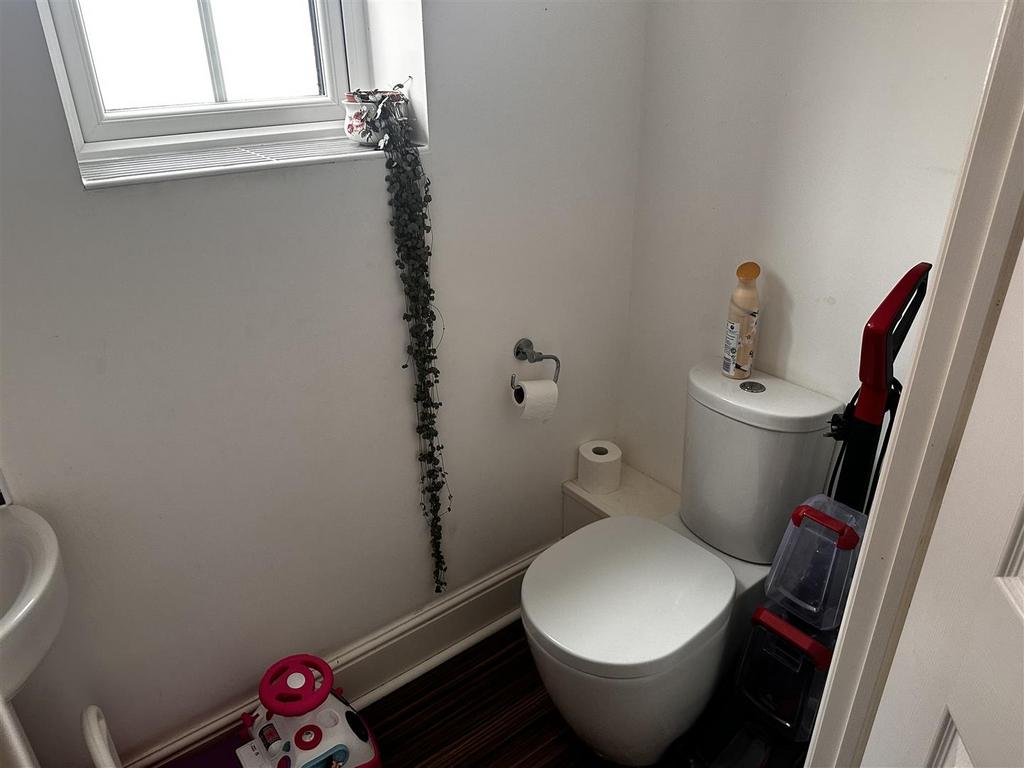Img 0919.jpg