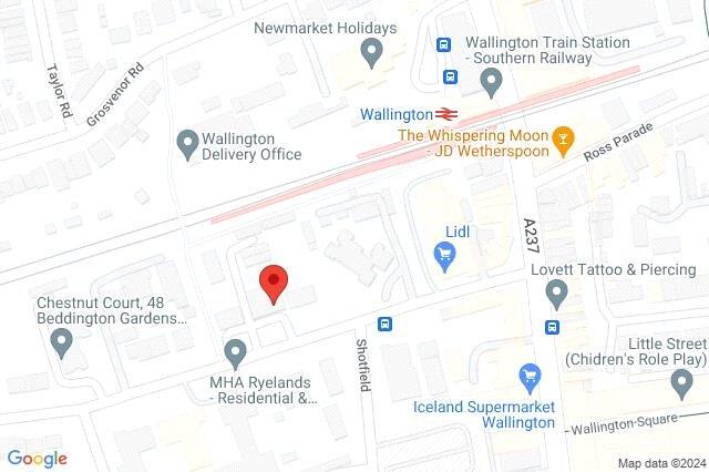 Google Maps Image