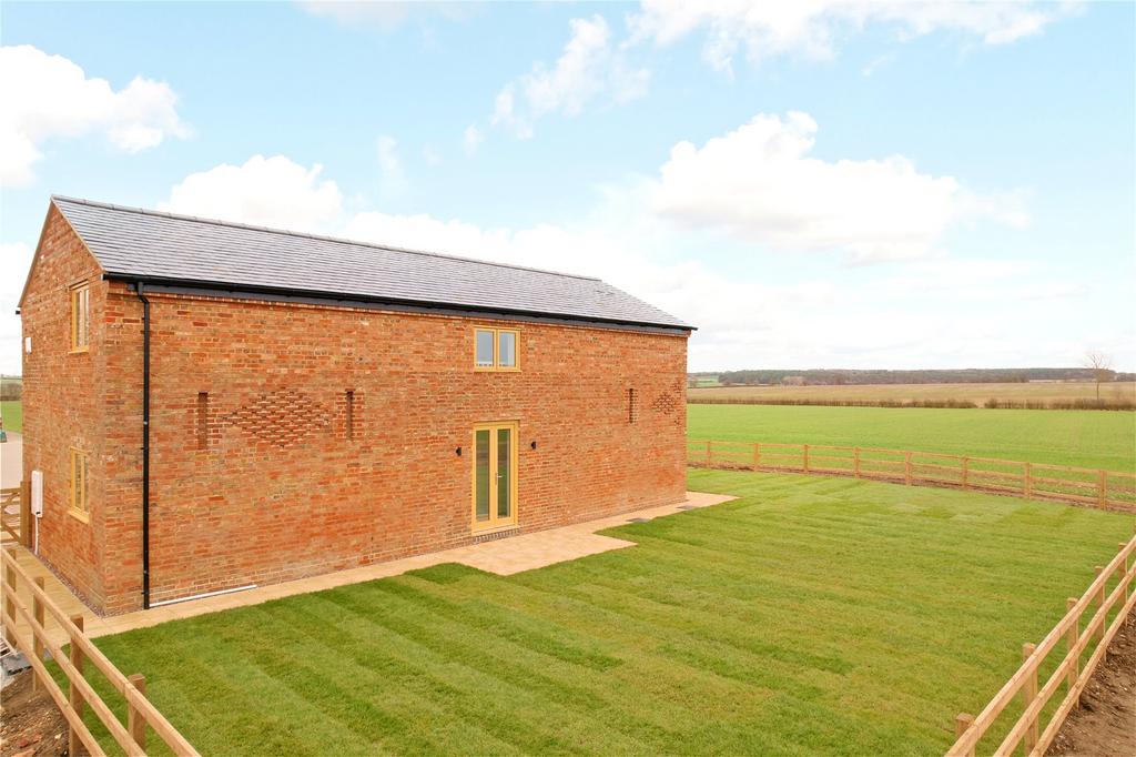 Rear Aspect