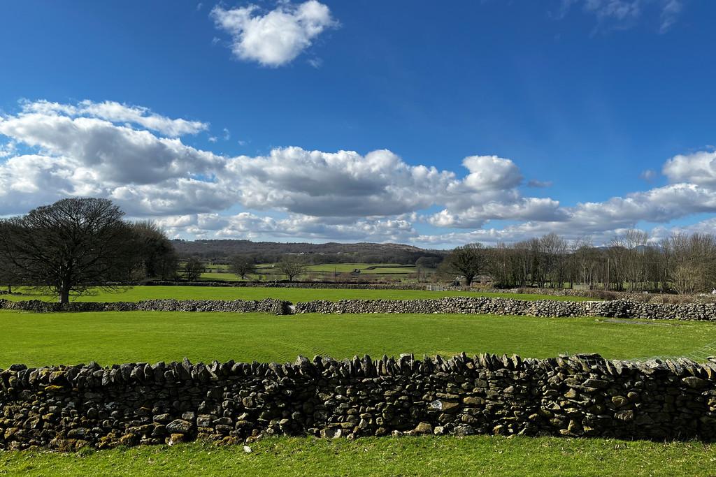 View from Garden