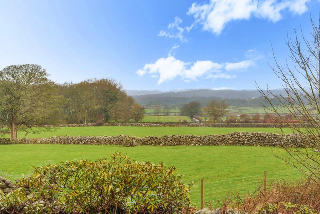 View from the Garden
