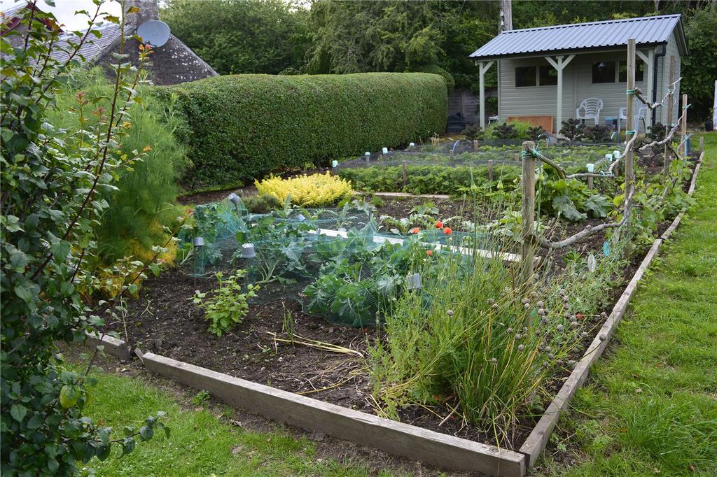 Vegetable Patch