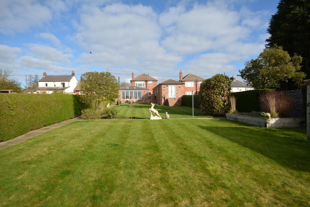 Rear looking back at house.JPG