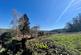 7 Burnt Oak - photo 3..jpg