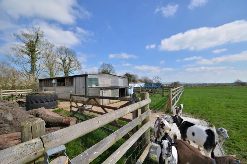Halberton - Seddons
