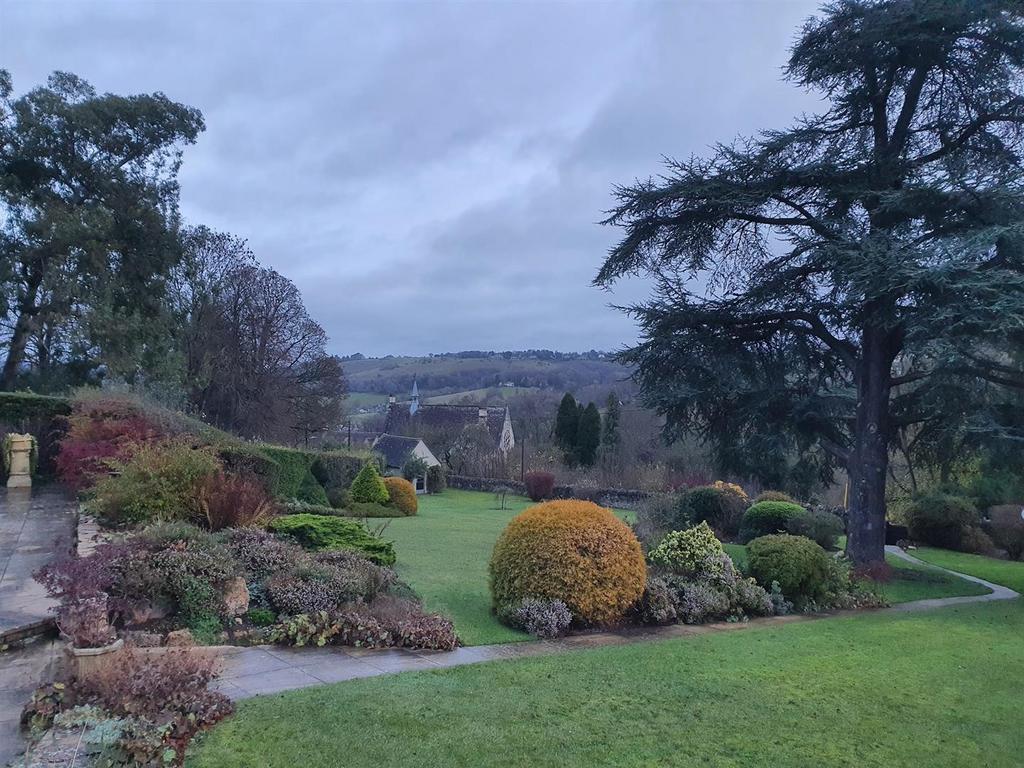 Front garden.jpg