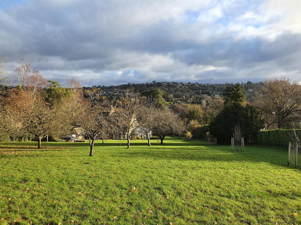 Garden from back.jpg