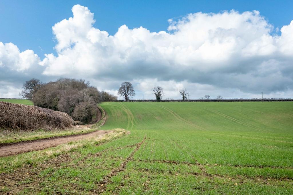 Arable Land