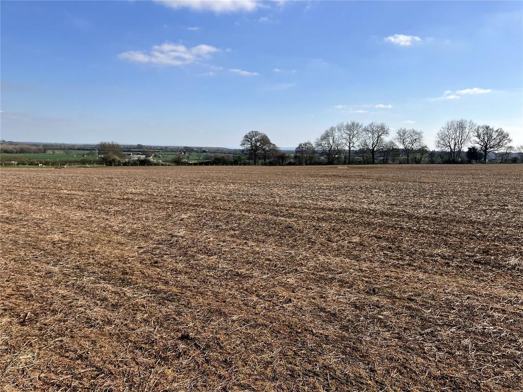 Arable Field