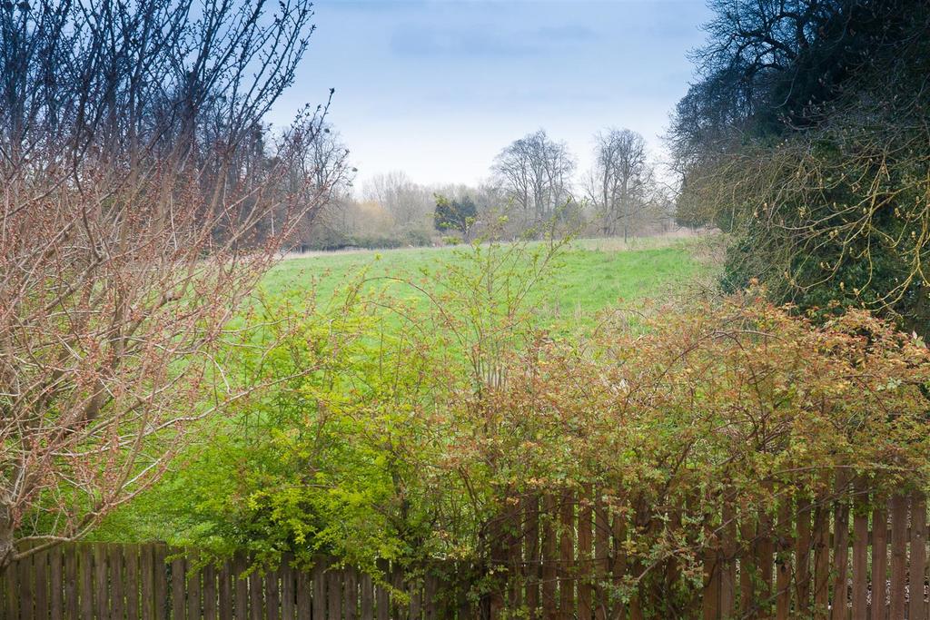 Views onto the meadow.jpg