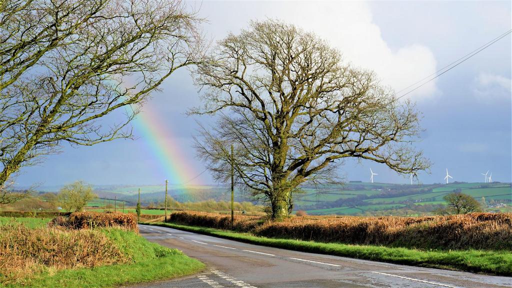 B - Bishops Nympton area.JPG