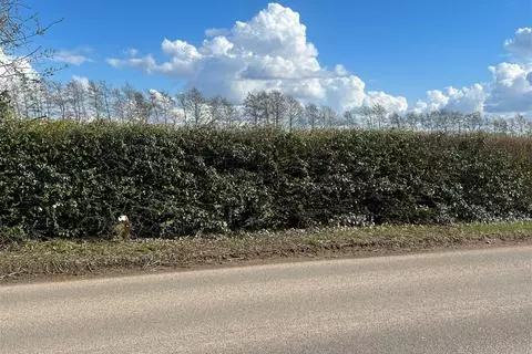 Plot for sale - View 3