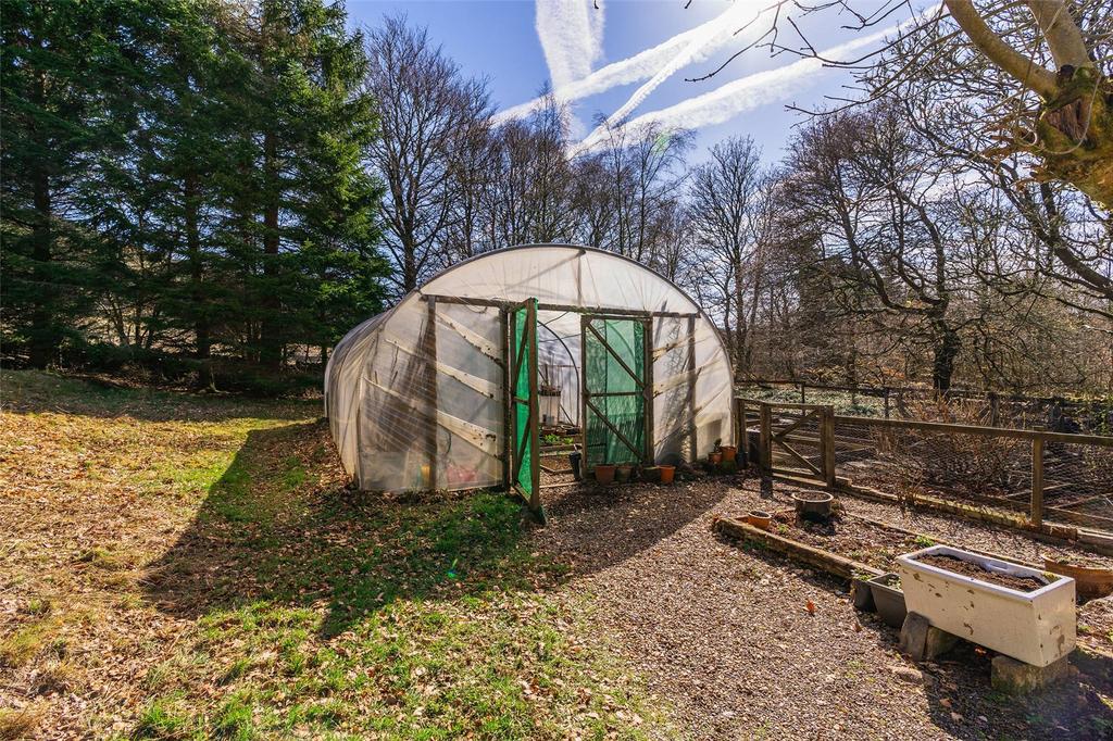 Polytunnel