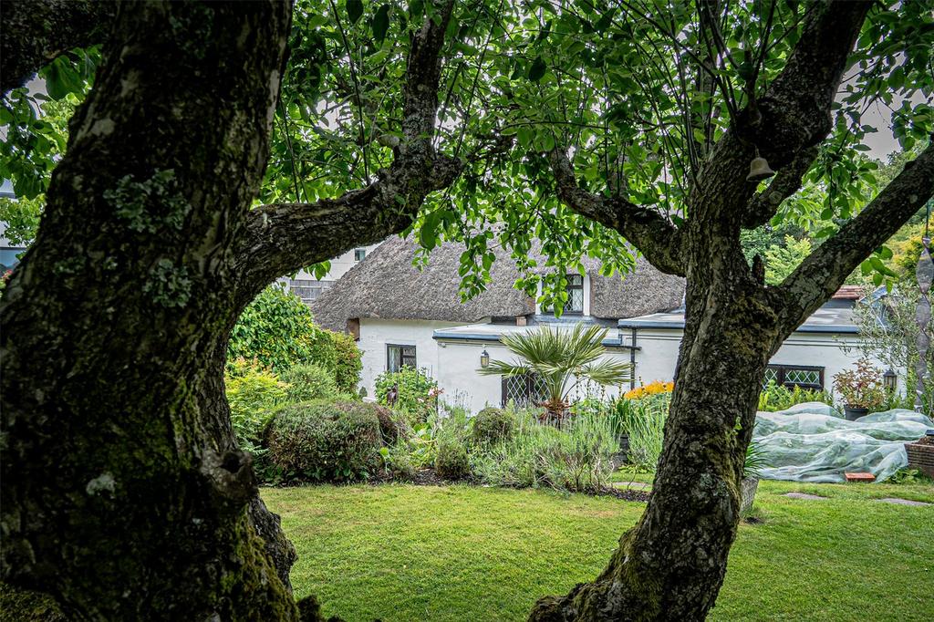 View To Cottage