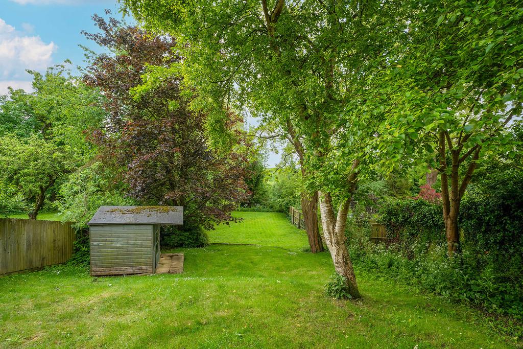 DSC00059 copy