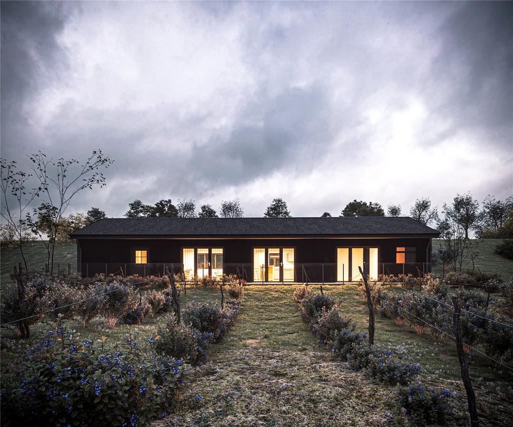 CGI Of House
