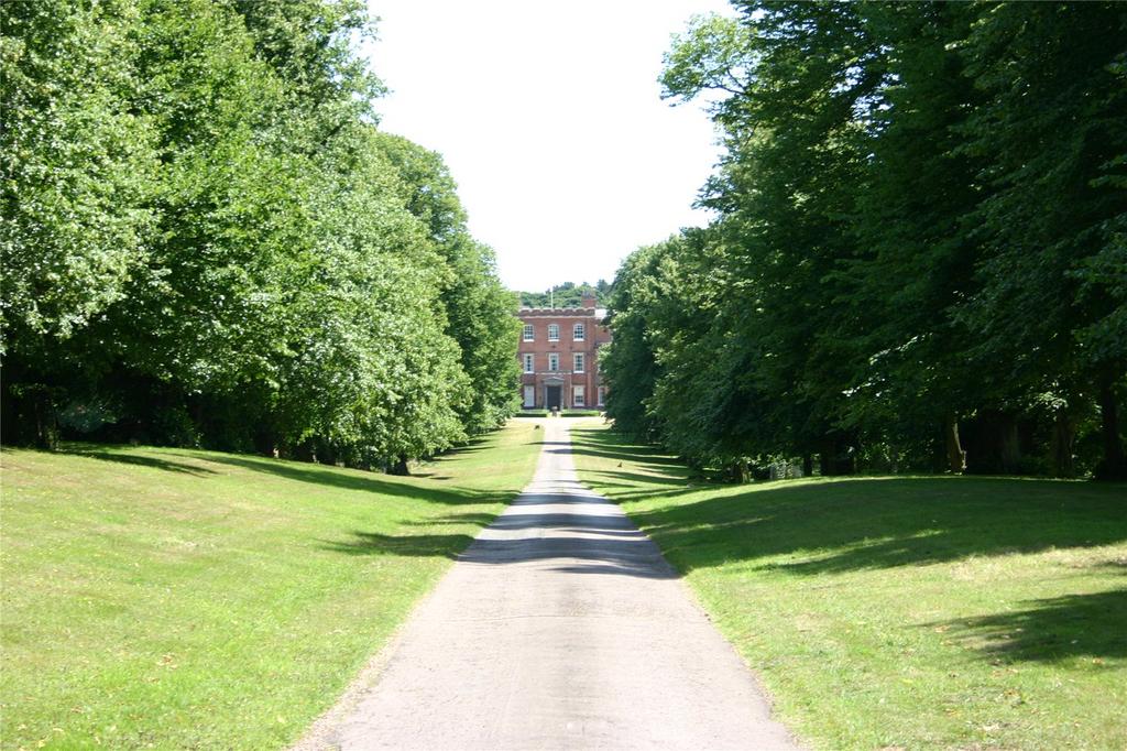 Main Drive