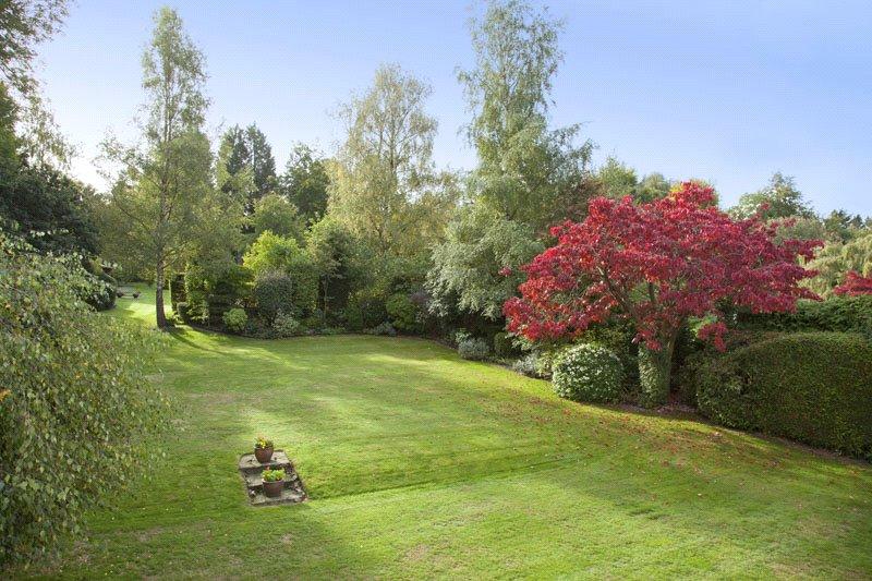 Rear Lawn