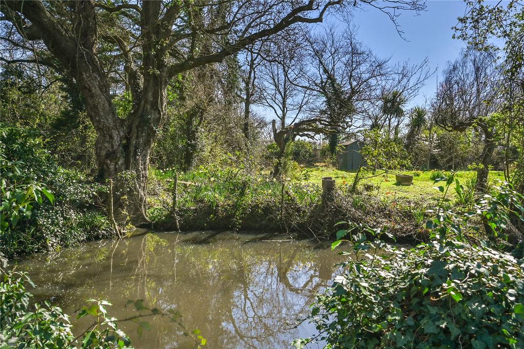 Pond