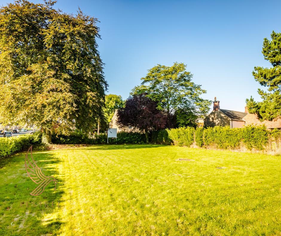 Untitled design - 2022-10-12 T133143.527.png