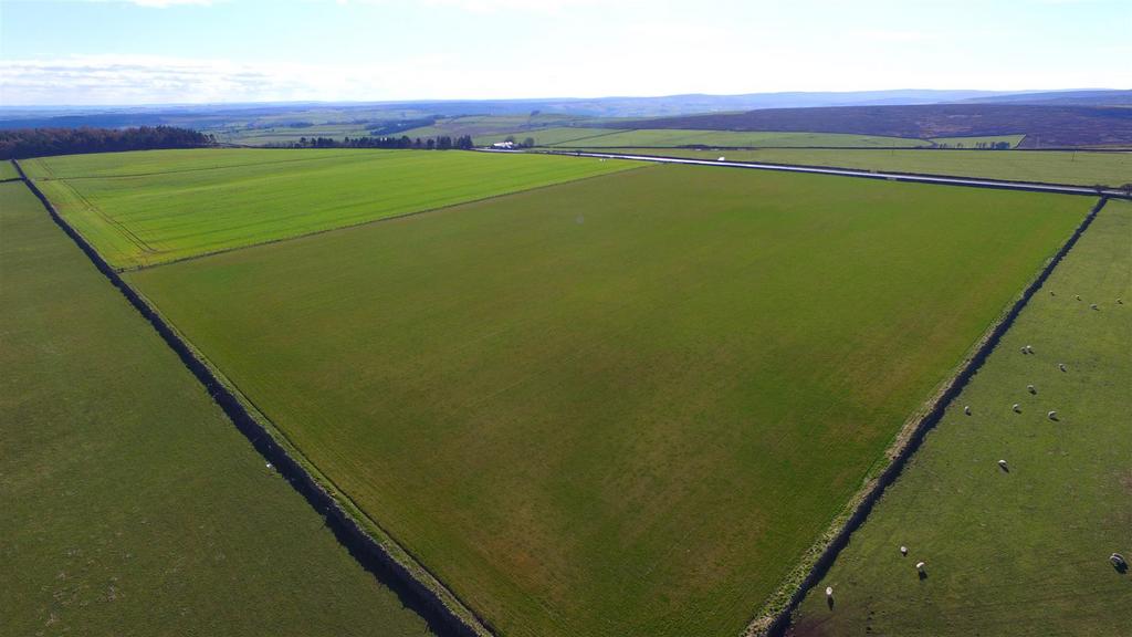 Dji 0408.jpg