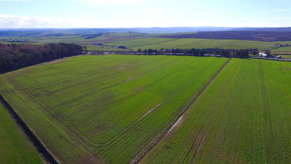 Dji 0405.jpg