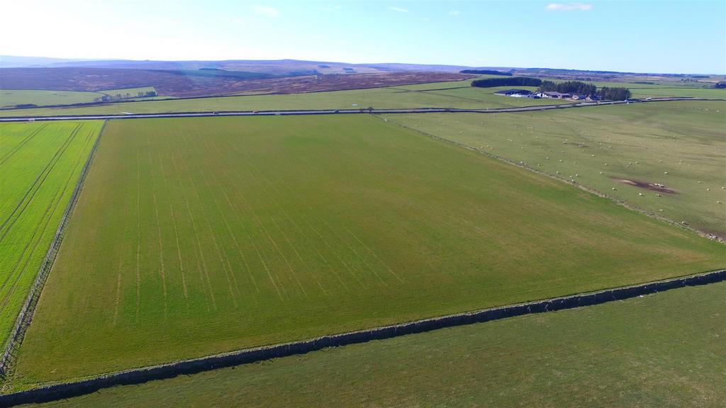 Dji 0406.jpg