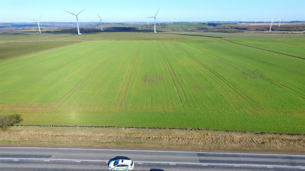 Dji 0442.jpg