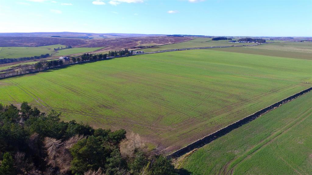 Dji 0402.jpg