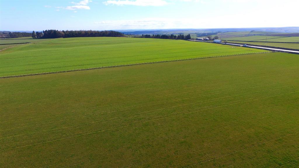 Dji 0411.jpg