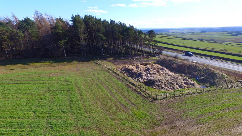Dji 0423.jpg