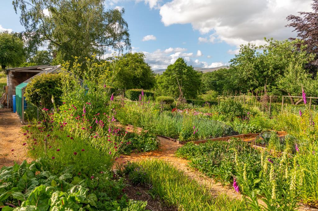 Kitchen Garden