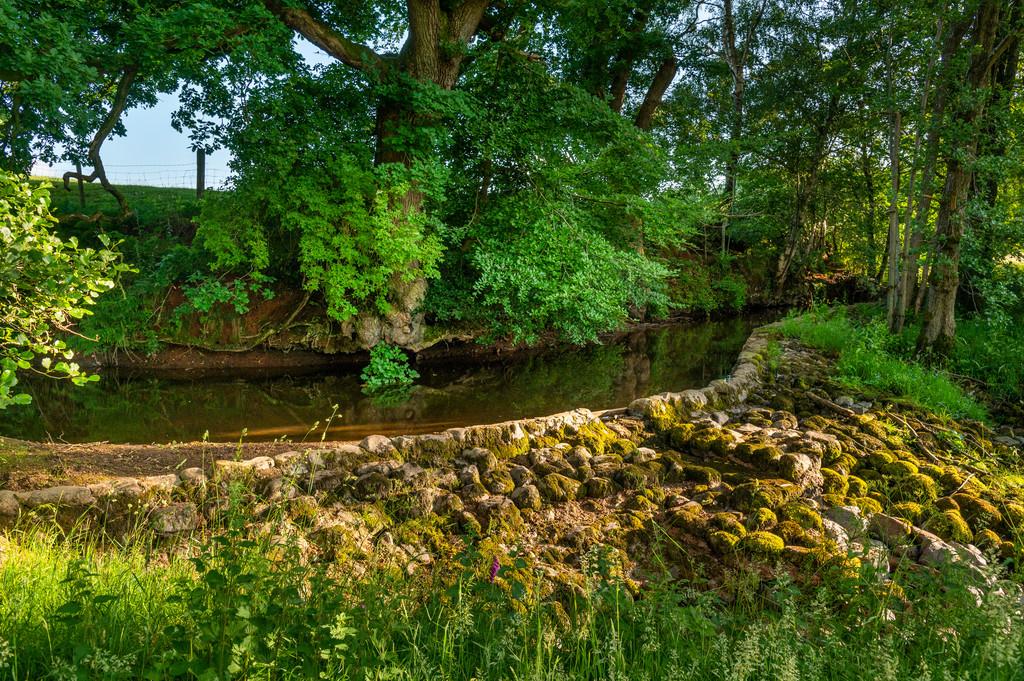 The Weir