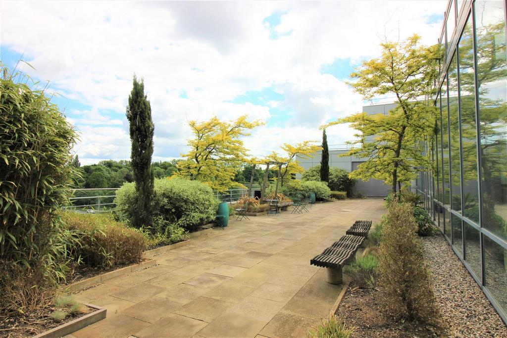 Roof Top Garden