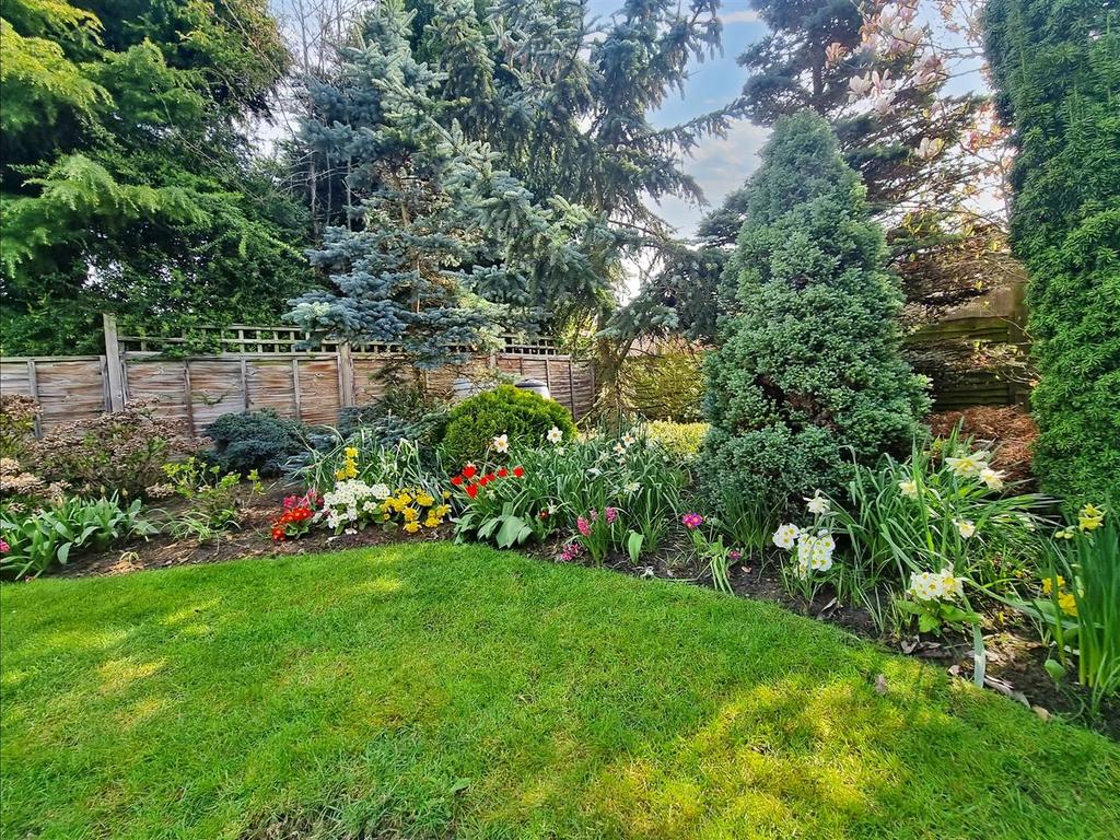 PHOTO-2023-04-08-12-54-27 (3).jpg